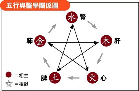 茶五行|云竹老师讲解茶的“五行”之道——“金、木、水、火、土”